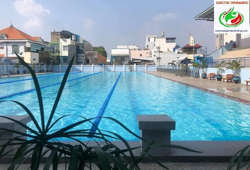 Hình ảnh hồ bơi Trung Tâm Văn Hóa Quận Gò Vấp